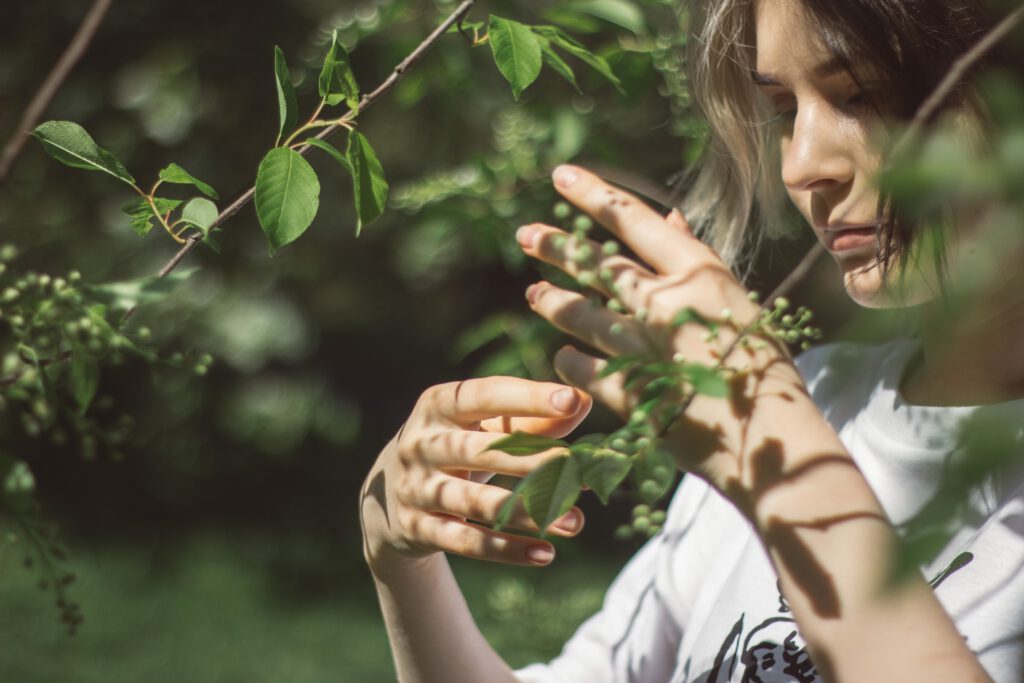 Ayurveda-Pakete in Deutschland zur Verjüngung und Heilung – Ayurveda Zentrum Deutschland